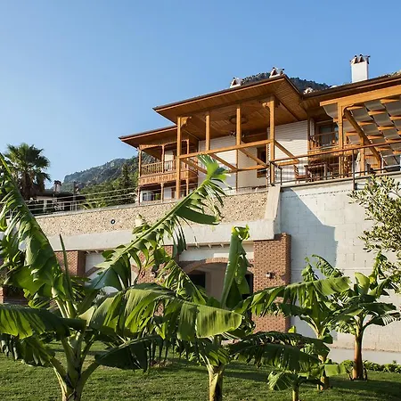 Lotus Spa&sport 호텔